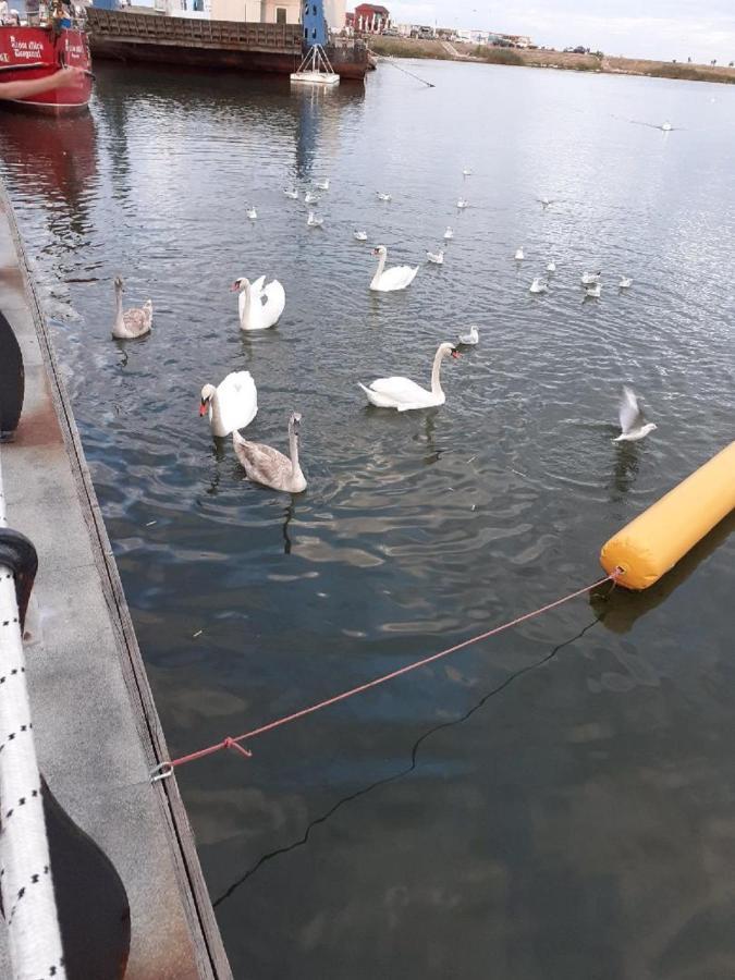Lake View كونستانتا المظهر الخارجي الصورة